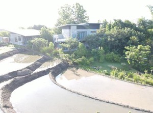 Suan Sook Homestay | Ban Luang