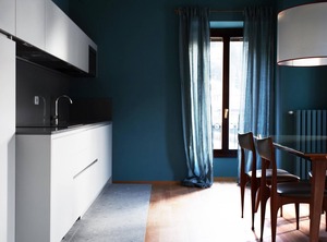 Domus Plinii Faggeto Lario | Riva