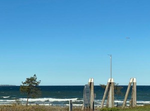 Ostseerausch | Scharbeutz