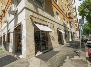 Pinturicchio | Flaminio