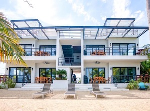 Gecko | Placencia