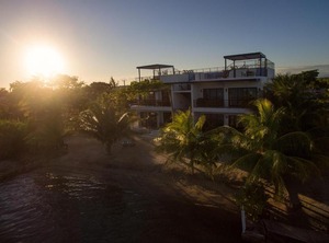 Gecko | Placencia