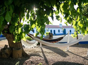 Villa Terrace Swimming | Sousel