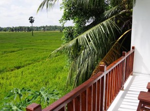 Rest | Anuradhapura
