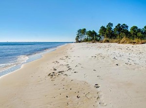 Surf Club | Dauphin Island