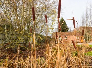 Sutton Barn | Ross-on-Wye