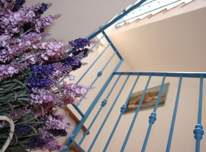 Holiday | Terrasini