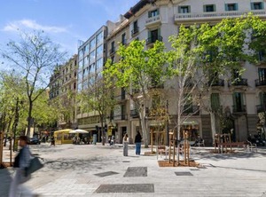 Tendency | Eixample