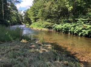 Tentrr Signature Site Wallenpaupack Creek Camp | Newfoundland