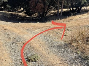 Tentrr Signature Site Rancho Amador | Drytown