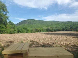 Tentrr State Park Site High Valley | Copake Falls