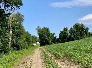 Tentrr State Park Site High Valley | Copake Falls