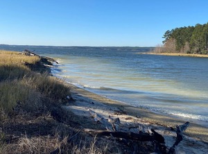 Tentrr State Park Site South Toledo | Anacoco