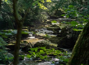 Tentrr State Park Site Wv Hawk Nest Camp | Ansted
