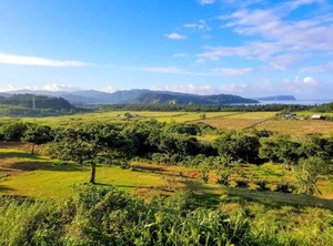 Terrace Iriomotejima | Iriomote-jima Taketomi-cho