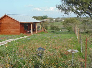 Texas T Breakfast | Llano