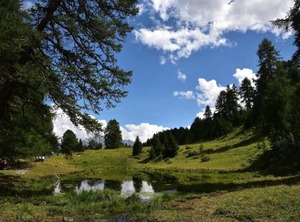 Tgesa Sunnmatt | Savognin
