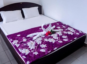 Thanh An Guesthouse | Hue City Centre