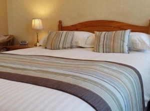 Baytree | Torquay City Centre