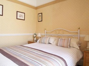 Baytree | Torquay City Centre