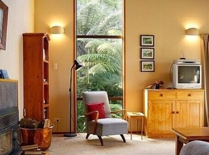 The Beeches Pukawa Bay Holiday | Omori