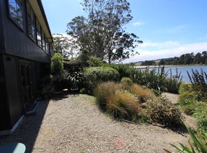 The Bird Hide | Waikouaiti