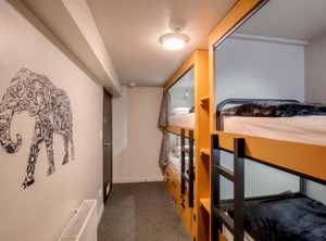 The Sheep Backpackers | Queenstown City Centre