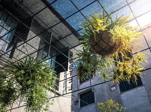 The Brownstone Hostel Space | Jawa