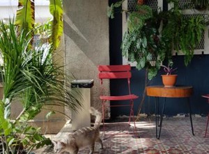 The Brownstone Hostel Space | Jawa