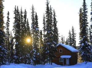 The Woods 森林小屋 | Fairbanks