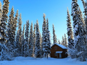 The Woods 森林小屋 | Fairbanks