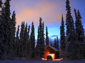 The Woods 森林小屋 | Fairbanks