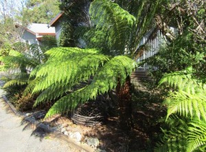 The Crays Accommodation | Strahan