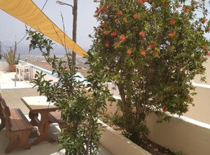 The Garden | Fira
