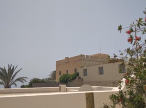 The Garden | Fira