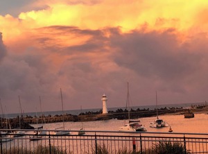 The Kokopelli | Wollongong CBD