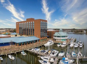 The Landing At Hampton Marina Tapestry | Victoria Boulevard Historic District