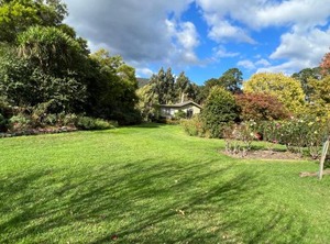 The Hill | Badger Creek