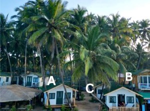Palolem | Palolem