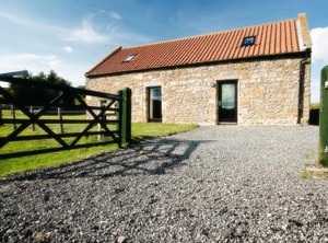 The Cow | Great Fryup Dale