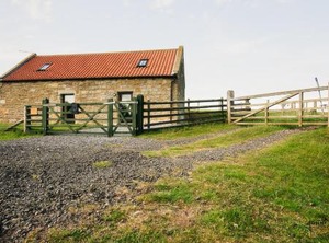 The Cow | Great Fryup Dale
