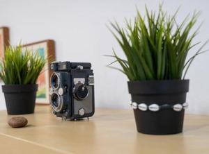 The Photografic | Perchel Sur