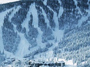 The Tahoe | Truckee