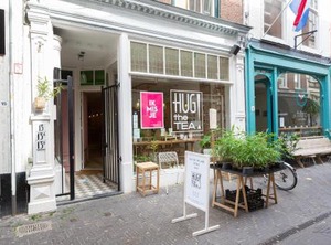 The Royal | The Hague Center