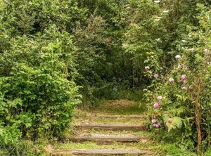 The Shippen Hartland | Hartland