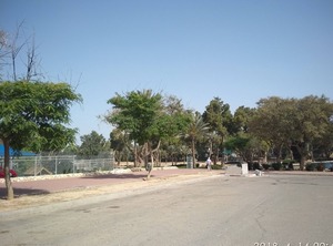 The Sakura Garden | Beersheba
