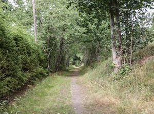 The Spinney | Aberlour