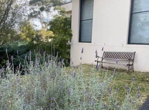 Clissold St | Mollymook