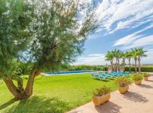 Torre Marina Alga | Campos