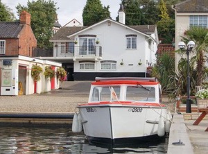 Tracara | Horning
